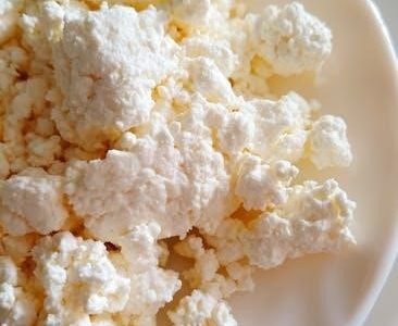 lactose intolerance diet plan pdf