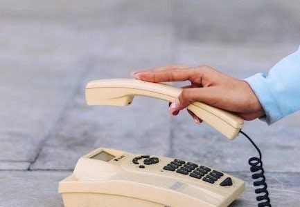 logic combi 24 user manual