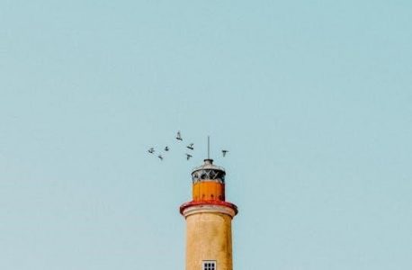 ceridian dayforce administrator guide