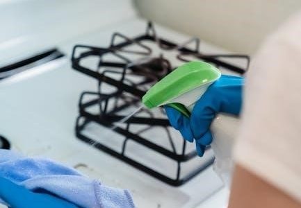 viking stove self cleaning instructions