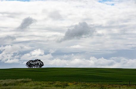 gary brecka 72 hour water fast pdf