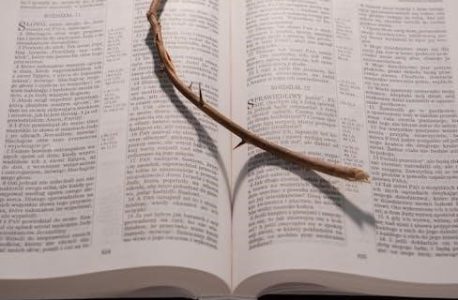 armor of god priscilla shirer pdf