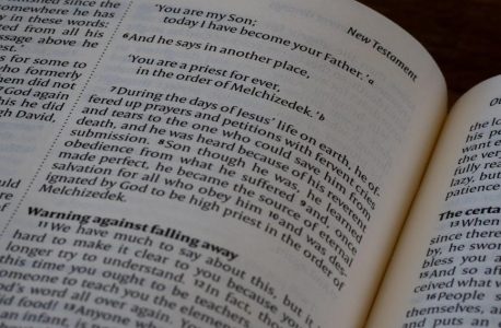 commentary on book of revelation pdf